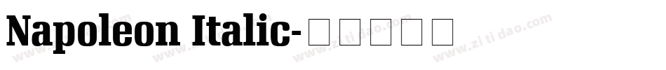 Napoleon Italic字体转换